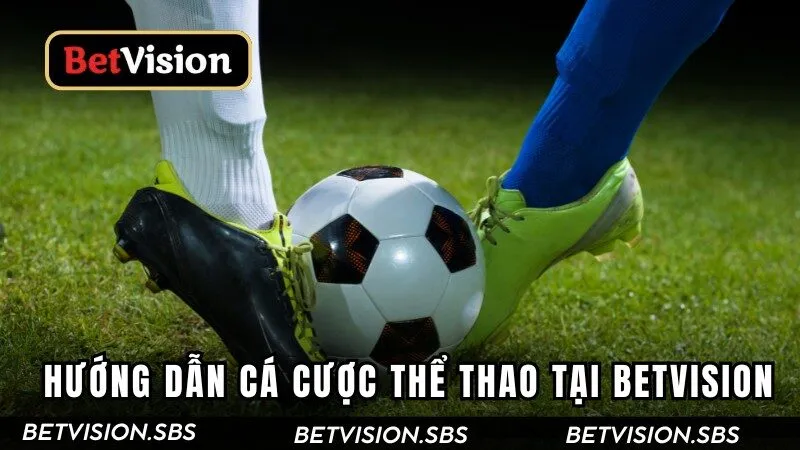 Hướng dẫn cá cược tại Betvision