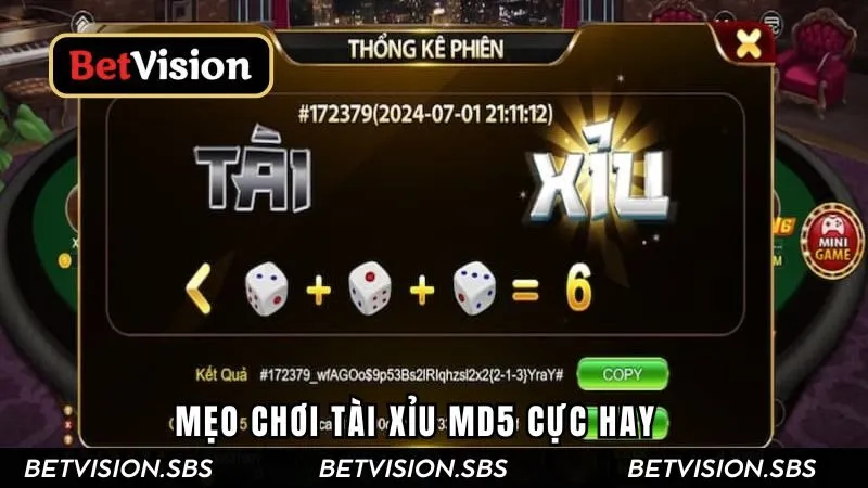 Điều Cần Chú Ý Khi Chơi Tài Xỉu MD5 Cược Thủ Phải Biết