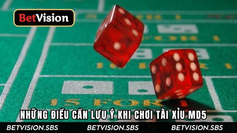 Những điều cần chú ý khi chơi TaixiuMD5 không nên bỏ qua