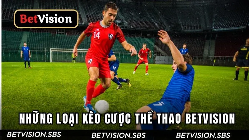 Những loại kèo cược tại Betvision