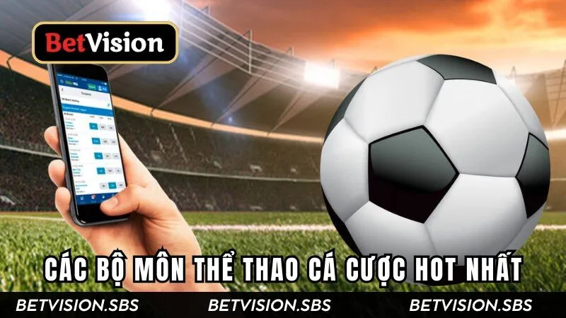 Các bộ môn thể thao cá cược hot tại K-Sports